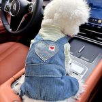 Pet Clothes Dog Cat Apparel Small Dogs Puppy Outfit Stylish Cute Beautiful Pet Clothing Dog Dress Comfortable Double Heart Harness Pants - Green Stripe Imitation Denim Clothes