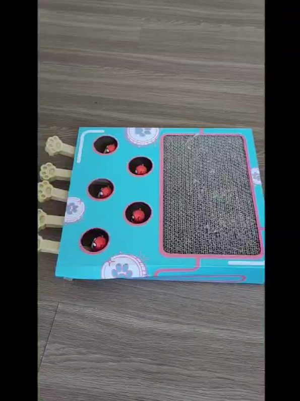 55750cc37c4451e06543f724f20be82d8646fce5.goods_.000001