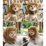 Adjustable & Washable Lion Mane Wig for Cats - Soft Brown Realistic Lion Hair Costume for Halloween, Christmas, Easter Parties - Comfortable Pet Costume for Small, Medium & Large Cats