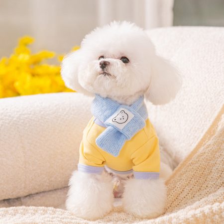 Autumn and Winter Undershirt Macaron Color Lace-up Scarf Two-Piece Set Bear Cat Puppy Dog Warm Pet Clothes